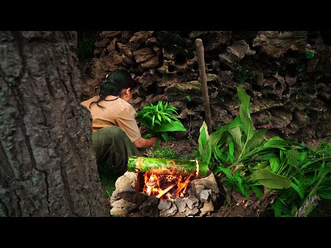 Survival Girl Building a Modern Stone House & Tree House by Simple Hand Tools for Cozy Living Alone