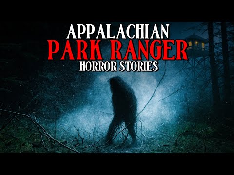 8 Terrifying True Horror Stories of Appalachian Park Rangers | Mr Skeleton