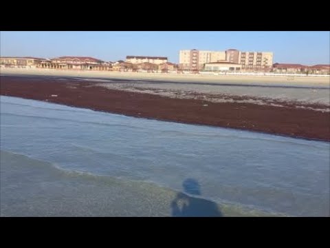 Смотрим на результат поиска после шторма. Море уходит...