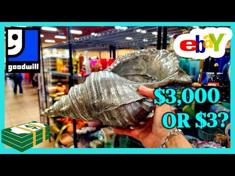 THRIFTING my BEST GOODWILL FIND EVER? / Let's Go Thrifting LAS VEGAS Part 11 Rainbow / Mardon Store