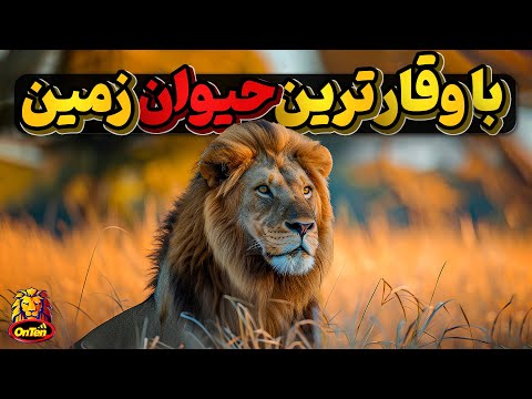 شیر، با شکوه ترین حیوان زمین چگونه به پادشاهی رسید؟