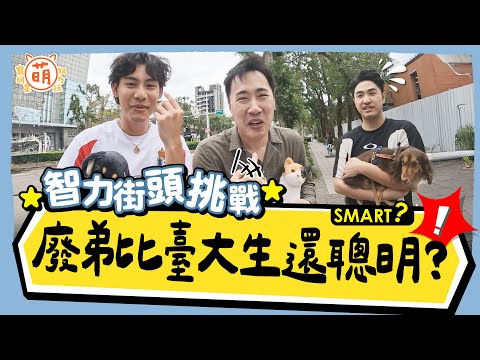 比臺大生還聰明？余祥銓 鹿希派 各務孝太 街頭智力挑戰【 廢弟弟出任務 】萌寵明星粗乃玩 @haveapetday