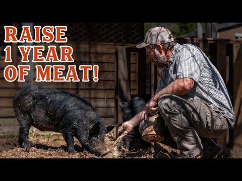 How Many Animals to Raise for a Year's Worth of Meat