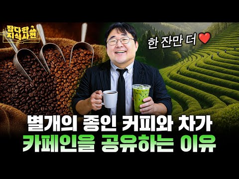 말차 열두 번 우릴 시간 동안 차담 나누는 과학자🍵 미국 말차 열풍, 곽재식의 분석은?