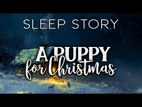 The Girl, The Moon & The Christmas Dog: A Soothing Bedtime Story
