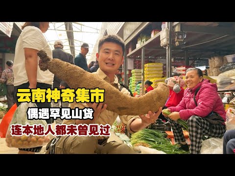 Magical Yunnan Market: Discover Rare Mountain Delicacies Even Locals Haven't Seen!