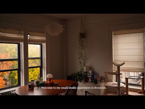 Living in a small studio apartment in Brooklyn | 3 years of different time and seasons