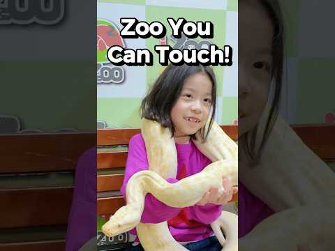 Zoo You Can Touch😆 Hold a Giant Albino Python🐍 #shorts