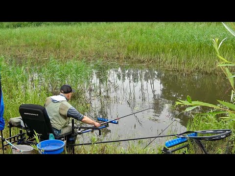Руки затрусилися, коли побачив, які монстри є в цьому болоті! Калюже де давно ніхто не рибачив