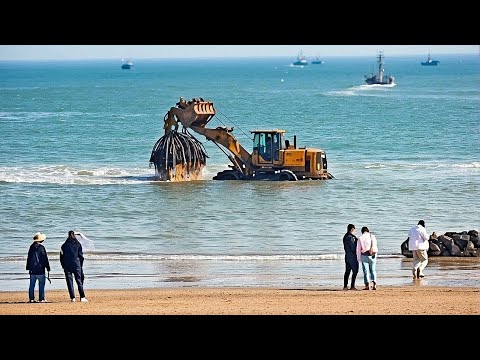 Incredible Moments Caught on Camera