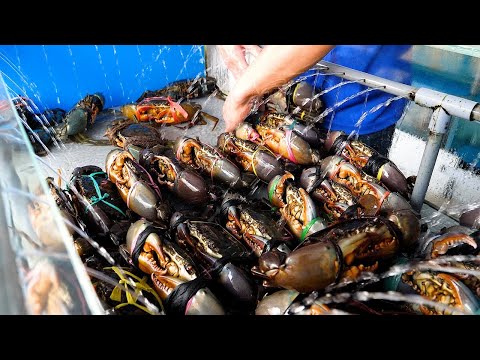 A Compilation of Hot Singapore and Jakarta Street Foods