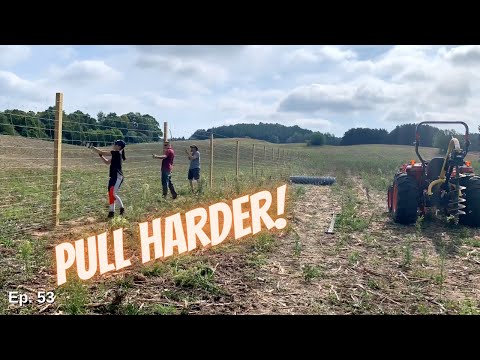 Stretching The 8 Foot Deer Fence, 500 feet, in Traverse City - Heartwood Ciders
