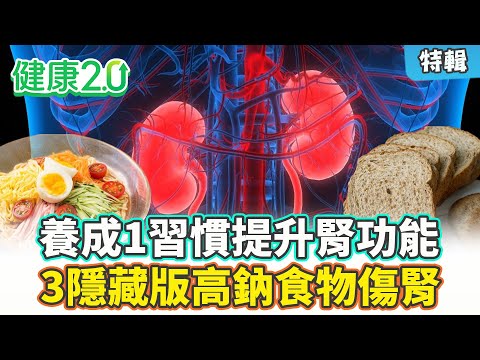 【特輯】養成1習慣 3個月提升腎功能！吐司、涼麵、夾心餅乾竟是隱藏版高鈉食物 吃多傷腎！醫師推薦5種友善腎臟食物！｜健康2.0 #鄭凱云 #陳欣湄 #韋汝 #洪永祥