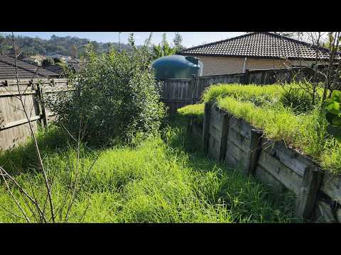 This Backyard Was Left Untouched for a Year, The Transformation Was Incredible