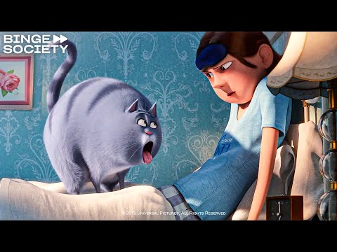 Best Of 'The Secret Life of Pets 2'