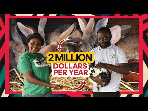 From $100 to $2 MILLION Yearly || How To Make Rabbit Farming A Lucrative Business In Ghana