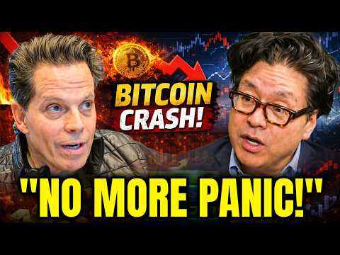Why Bitcoin Fell From All Time High to Panic Selling in Weeks   Anthony Scaramucci and Tom Lee