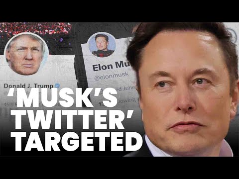 Matt Taibbi exposes ‘kill Musk’s Twitter’ agenda from ‘self-interested’ anti-disinformation group