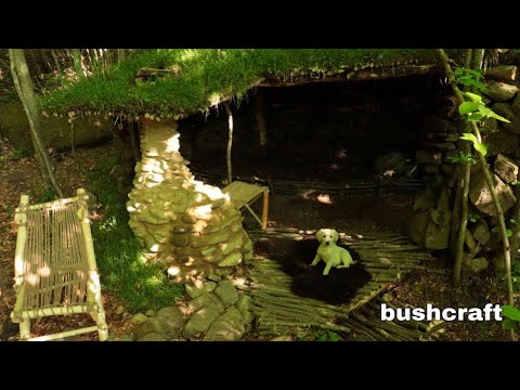 House in the forest. Lone bushcraft.