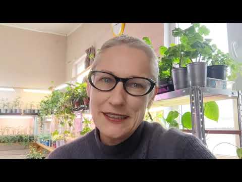 Как продавать растения в интернете. Моя схема продвижения