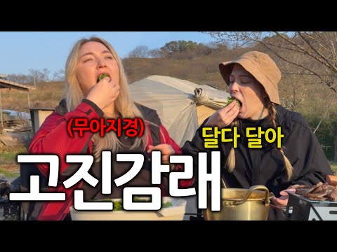 젊을 때 고생해야 인생을 배운다며 한국까지 넘어온 독일여자들..