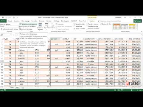 Excel - 3 Advanced - Pivot Table Course 5 Segment and Timeline