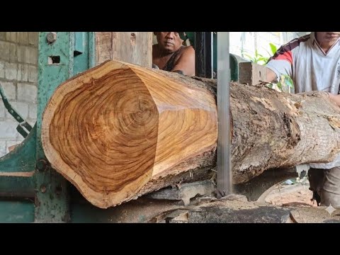 The highest teak wood college 