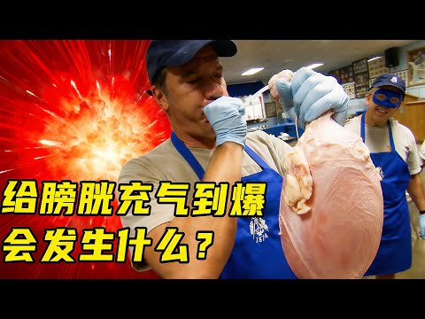 一口气看6个小众职业,膀胱塑形师,给牛膀胱充气到爆是什么体验?