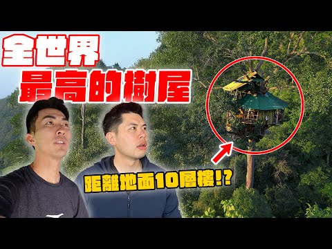住進世界最高樹屋是什麼體驗？用滑索才能抵達的神秘樹屋！？