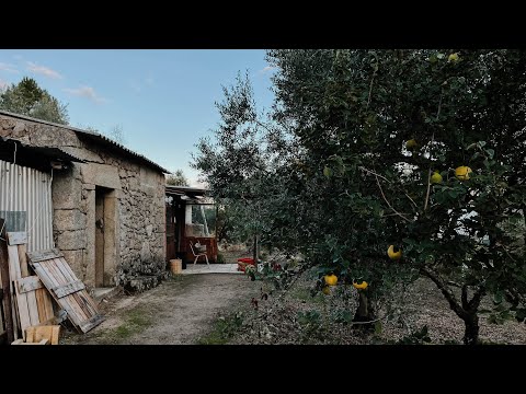 Autumn has Arrived on our Portugese Homestead