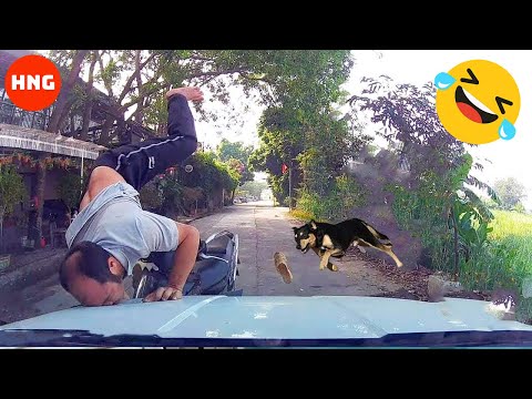Funny and Hilarious People Life #4 | Try Not To Laugh | Instant Regret Fails 😂