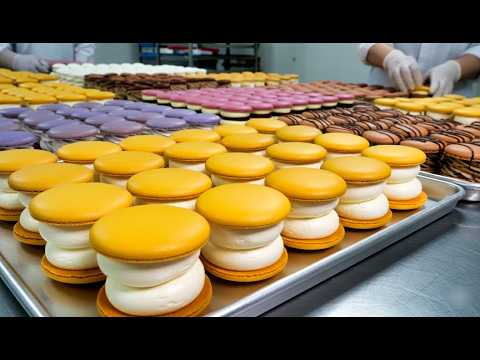 역대급 두께 입니다! 한 달 생산량 무려 4만 개! 주문 폭주 수제 마카롱 끝판왕 / Handmade Macarons / Korean Street food