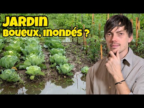 Jardin et Potager, BOUEUX ou INONDÉ ? Avez vous pensé à l'HYDROLOGIE de votre jardin ?