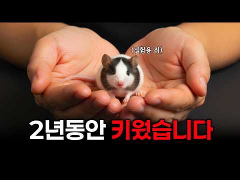 I've had a rat for two years.Would you like to hear my story?