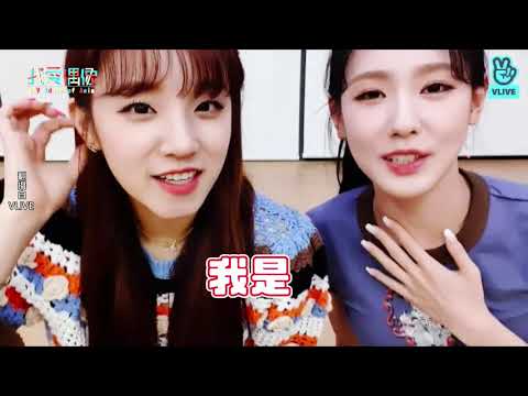(G)I-DLE雨琦x美延姐弟CP互教中韓文套路滿滿 美延：以為我不知道嗎？