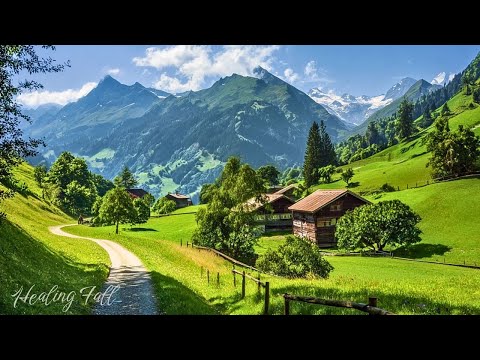 Soothing Sounds for the Soul πΏ Music to Release Worry & Sleep Well