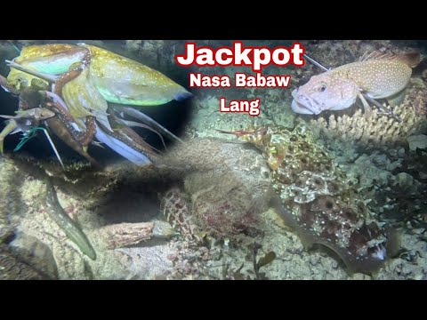 Ep 650 Jackpot Nasa Babaw Lang 😱😱 night spearfishing Philippines 