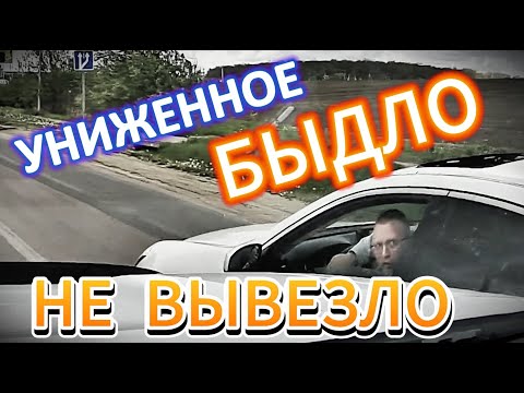 Униженное БЫДЛО не вывезло. Воронеж. выпуск №70 + Видосы от подписчиков. Май 2025