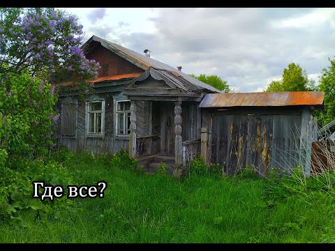 Заброшенная деревня КРИВОШЕЕВО, Республика Мордовия. Хорошие, крепкие дома, заброшенная пасека.