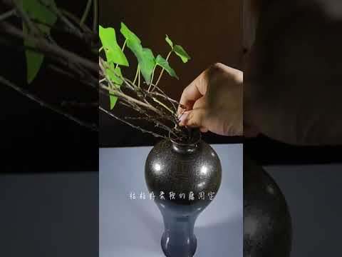 Floral Arrangement, China Asia art, 中国插花艺术