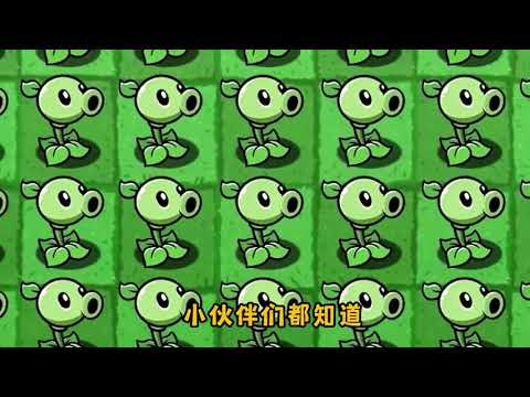 #植物大战僵尸 #pve #游戏日常 #学生党 #游戏解说