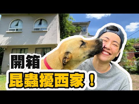 被動物包圍的鄉間生活!一週抓到幾隻昆蟲?蟲室裡的各種爬寵【昆蟲擾西家】