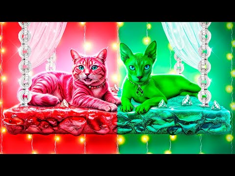 Мы построили секретную комнату для животных! Изумруд vs Рубин!