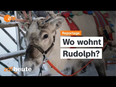Report: Winter in Lapland | auslandsjournal