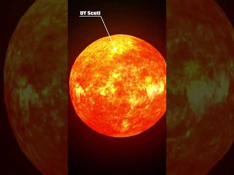 Sun vs. UY Scuti