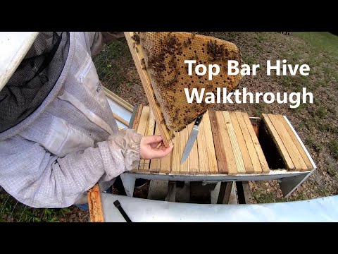 Top Bar Hive Walkthrough-  Pros and Cons