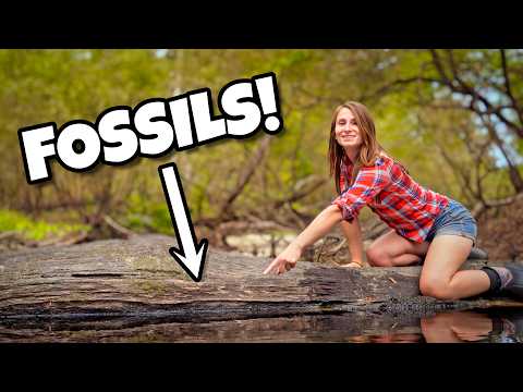 The Way In Is Brutal… The Payoff? Unreal.