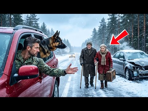Ex-Navy SEA Rescued an Elderly Couple in the Snow — What Happened Next Shocked the Whole Town