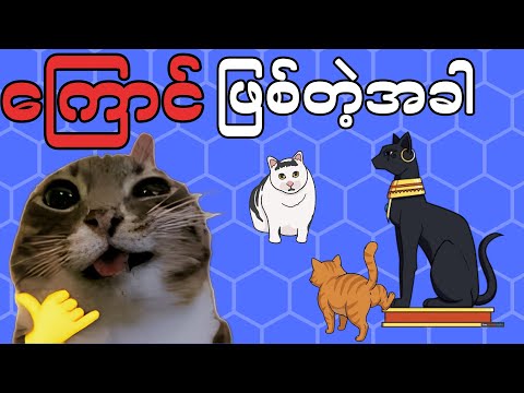 Life as a cat! - ကြောင်ဖြစ်သောအခါ