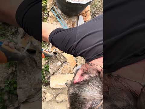 Why we used lime mortar to finish our reclaimed stone wall #restoration #reuse #construction #diy